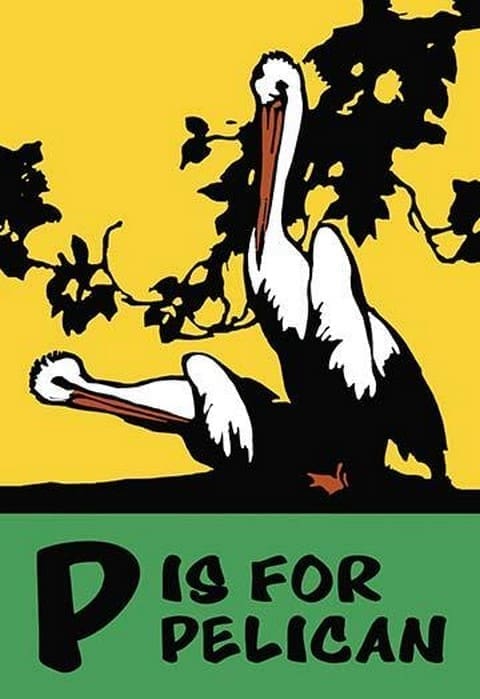 P is for Pelican by Charles Buckles Falls - Art Print