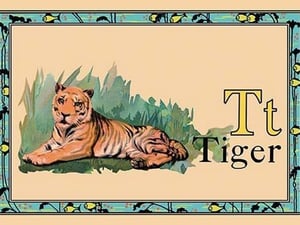 Tiger #2 - Art Print