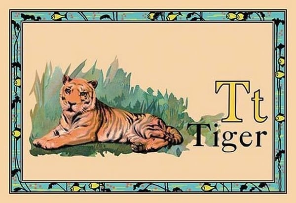 Tiger #2 - Art Print