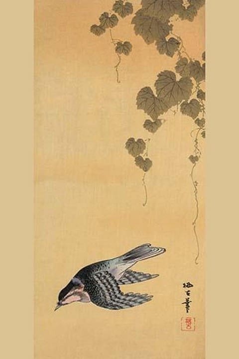 Small bird and grapes - Art Print