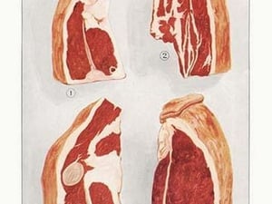 Beef: Steak and Sirloin - Art Print