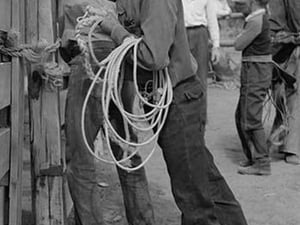Cowboy at Rodeo by Russell Lee #3 - Art Print