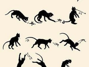 Cat versus Frog by Theophile Alexandre Steinlen - Art Print