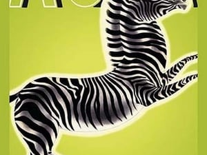 Zebra w/TITLE by Frank McIntosh - Art Print