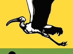 I is for Ibis by Charles Buckles Falls - Art Print