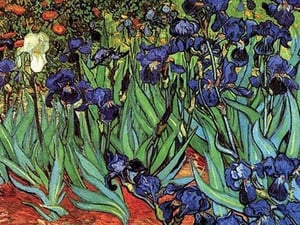 Irises by Vincent van Gogh - Art Print