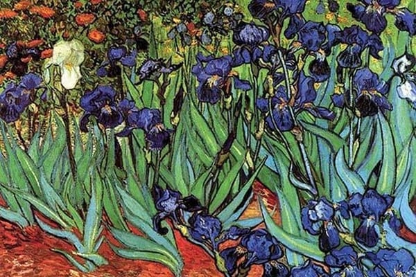 Irises by Vincent van Gogh - Art Print