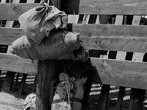 Bundles Against Cattle Corrals by Dorothea Lange - Art Print