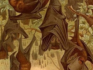 Hanging Bats by Friedrich Wilhelm Kuhnert - Art Print
