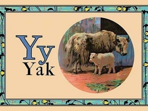 Yak - Art Print