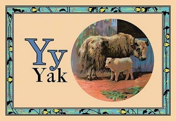 Yak - Art Print