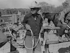 Cowboy at Rodeo by Russell Lee #2 - Art Print