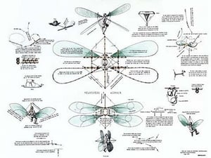 Airborne Bicycle by Jacques Bourcart - Art Print