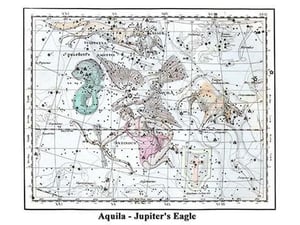 Aquila - Jupiter's Eagle by Alexander Jamieson - Art Print