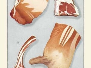 Cuts of Lamb - Art Print