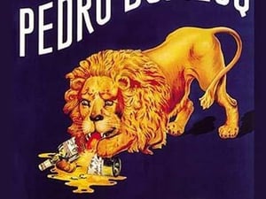 Pedro Domeco Vinos y Conac Jerez - Art Print