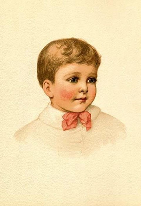 Sweet Daniel by Ida Waugh - Art Print