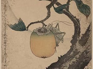 Grasshopper eating persimmon. by Katsushika Hokusai - Art Print