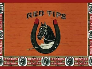 Red Tips - Art Print