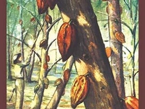 Chocolate 'Cacao' Tree - Art Print
