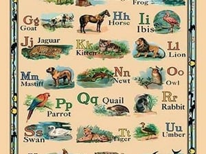 Animal Alphabet - Art Print