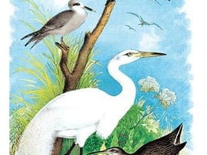 The Great White Egret (White Heron) by Theodore Jasper - Art Print