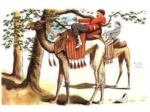 Troubles with a Camel by Richard Simkin - Art Print