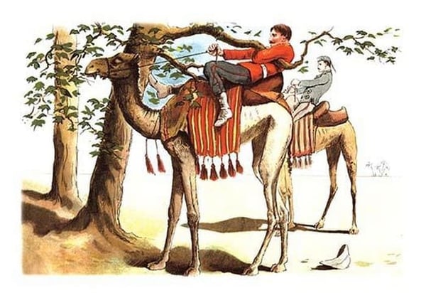 Troubles with a Camel by Richard Simkin - Art Print