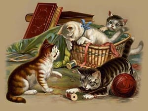 Full of fun by Muller