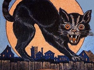 The Black Cat by Rosen Company - Art Print