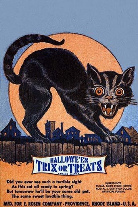 The Black Cat by Rosen Company - Art Print