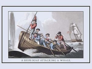 A Ship's Boat Attacking a Whale by J.H. Clark - Art Print