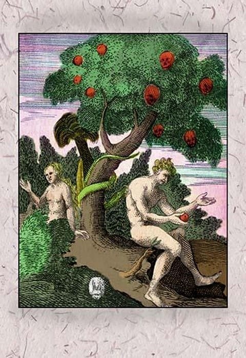 Adam and Eve - Art Print