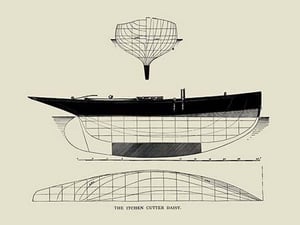 The Itcken Cutter Daisy by Charles P. Kunhardt - Art Print