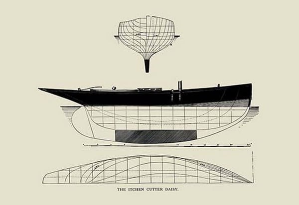 The Itcken Cutter Daisy by Charles P. Kunhardt - Art Print