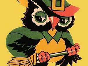 Wizard Owl on Broomstick - Art Print
