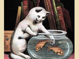 The Foolish Kitten - Art Print