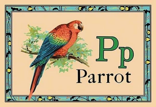 Parrot - Art Print