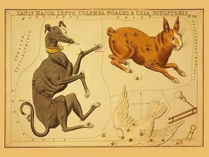 Canis Major