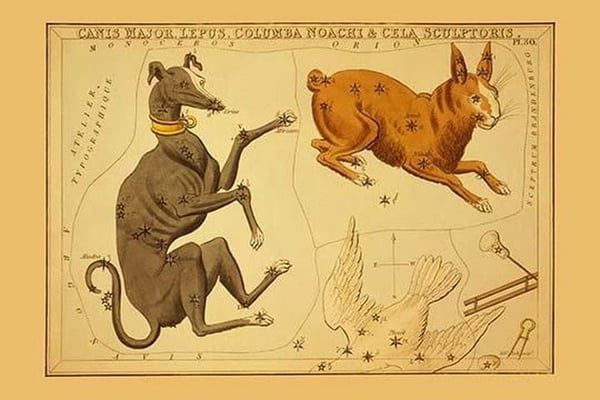Canis Major