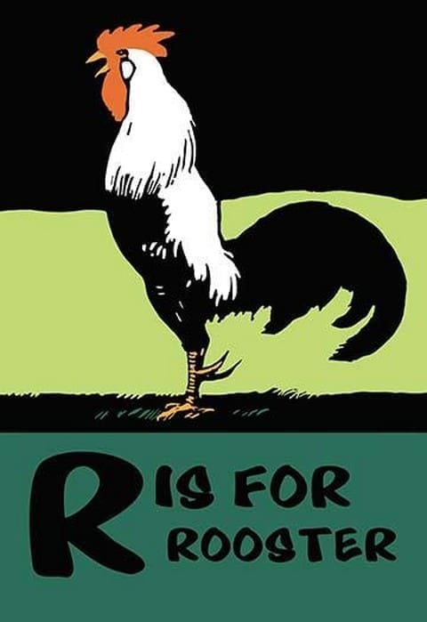 R is for Rooster by Charles Buckles Falls - Art Print