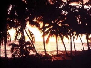 Kona White Sands by James P. McVey - Art Print