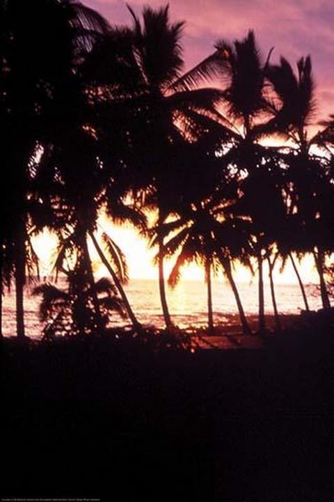 Kona White Sands by James P. McVey - Art Print