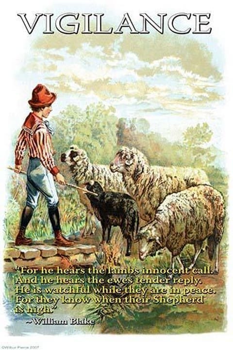 Vigilance by Wilbur Pierce - Art Print