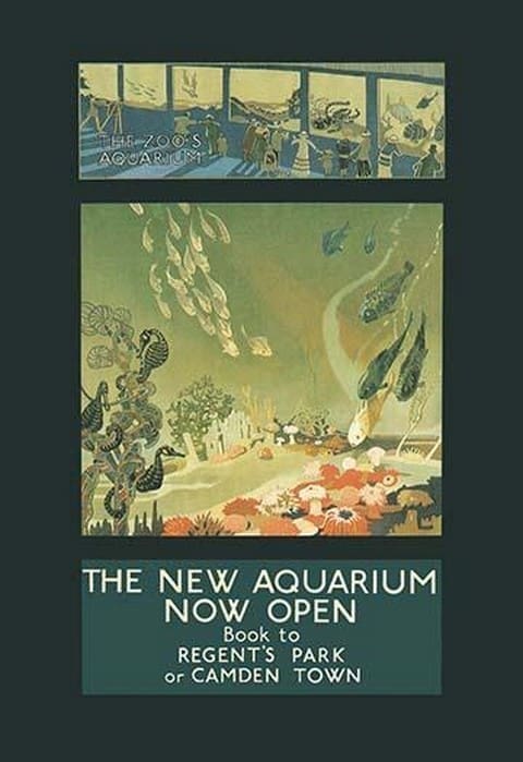 The New Aquarium Now Open by George Sheringham - Art Print