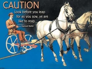 As you sow