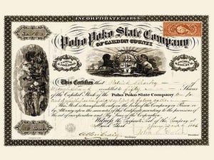 Poho Poko Slate Company Stock - Art Print