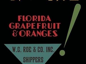 Florida Grapefruit and Oranges - Art Print