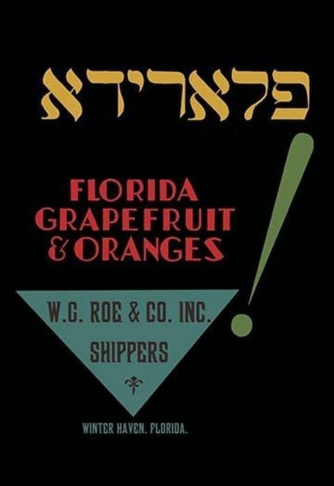 Florida Grapefruit and Oranges - Art Print