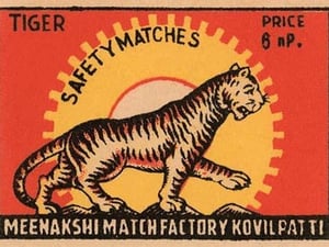 Tiger Safety Matches - Art Print